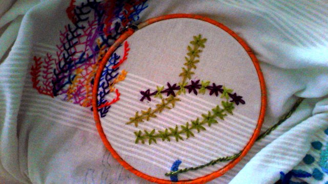 Como bordar algas marinas. (1)