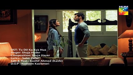 Tau Dil Ka Kia Hua OST HUM TV Drama