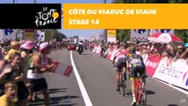Côte du viaduc de Viaur - Étape 14 / Stage 14 - Tour de France 2017