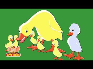 Every dog has its day - English Proverb