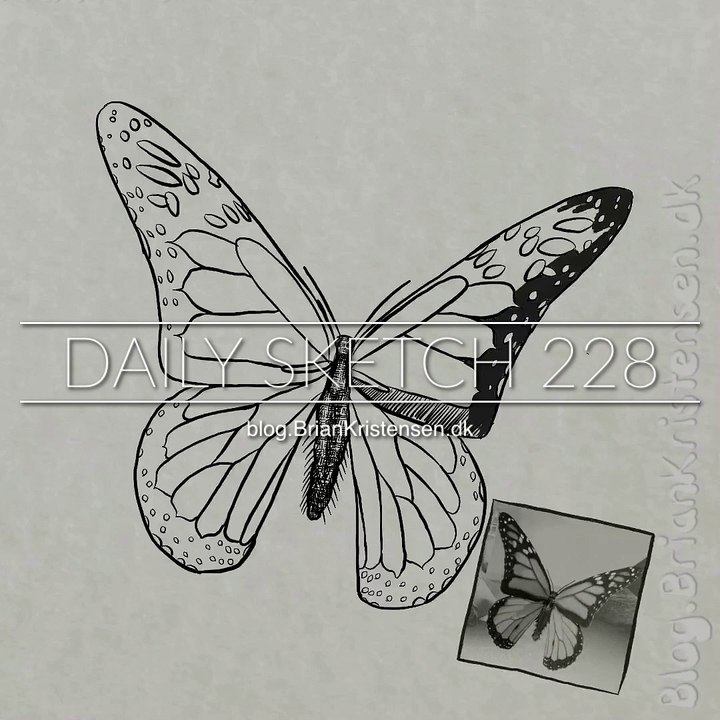 A #monarch #butterfly