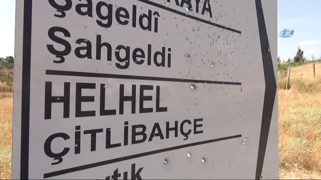 Lice'deki İnfaz Olayının Terör Örgütü İç Hesaplaşması Olduğu Ortaya Çıktı