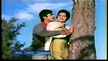 Andleeb Waheed-Shabnam - Mere Dil Ki Mehfil - Noor Jahan, Ahmed Rushdi