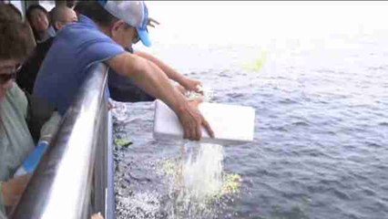 Las cenizas de Liu Xiaobo son esparcidas en el mar en presencia de su viuda