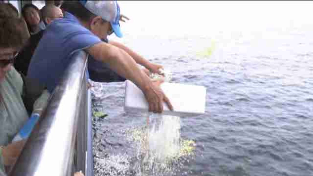 Las cenizas de Liu Xiaobo son esparcidas en el mar en presencia de su viuda