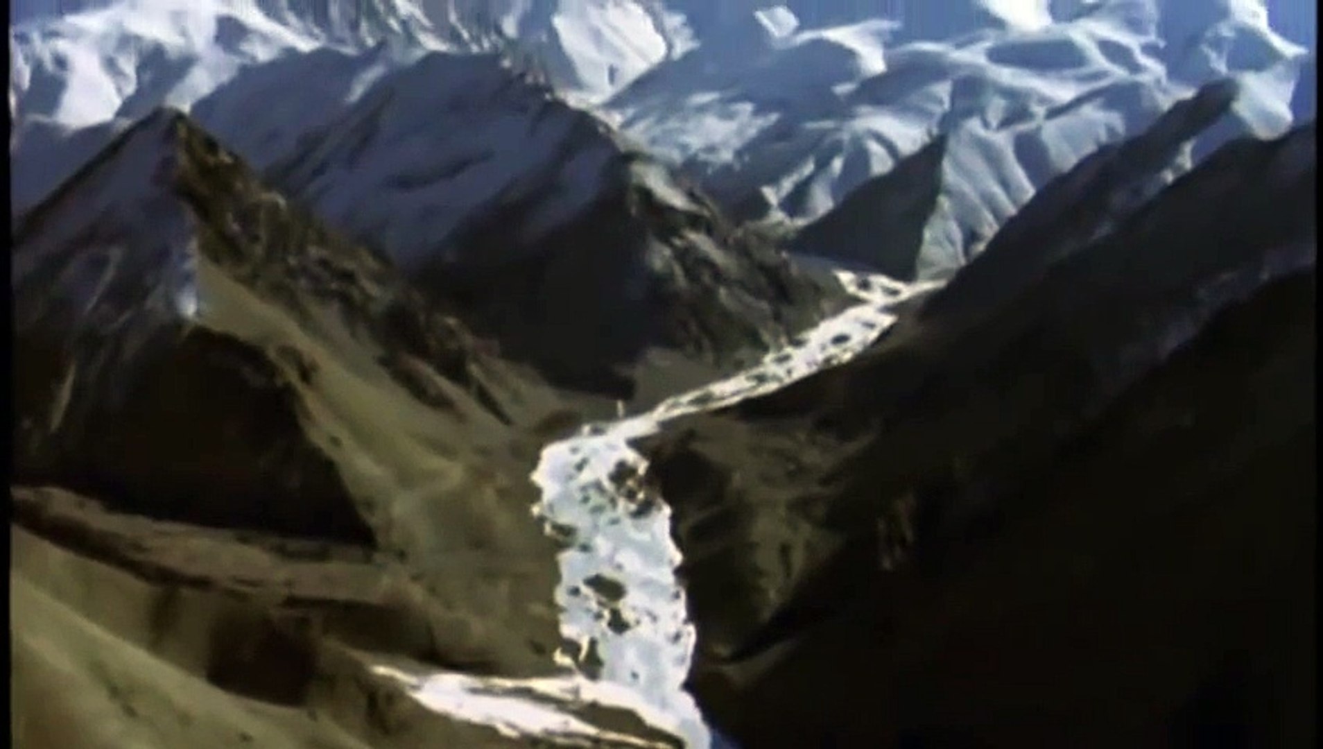 ⁣Animal planet -  Silent Roar - The Snow Leopard
