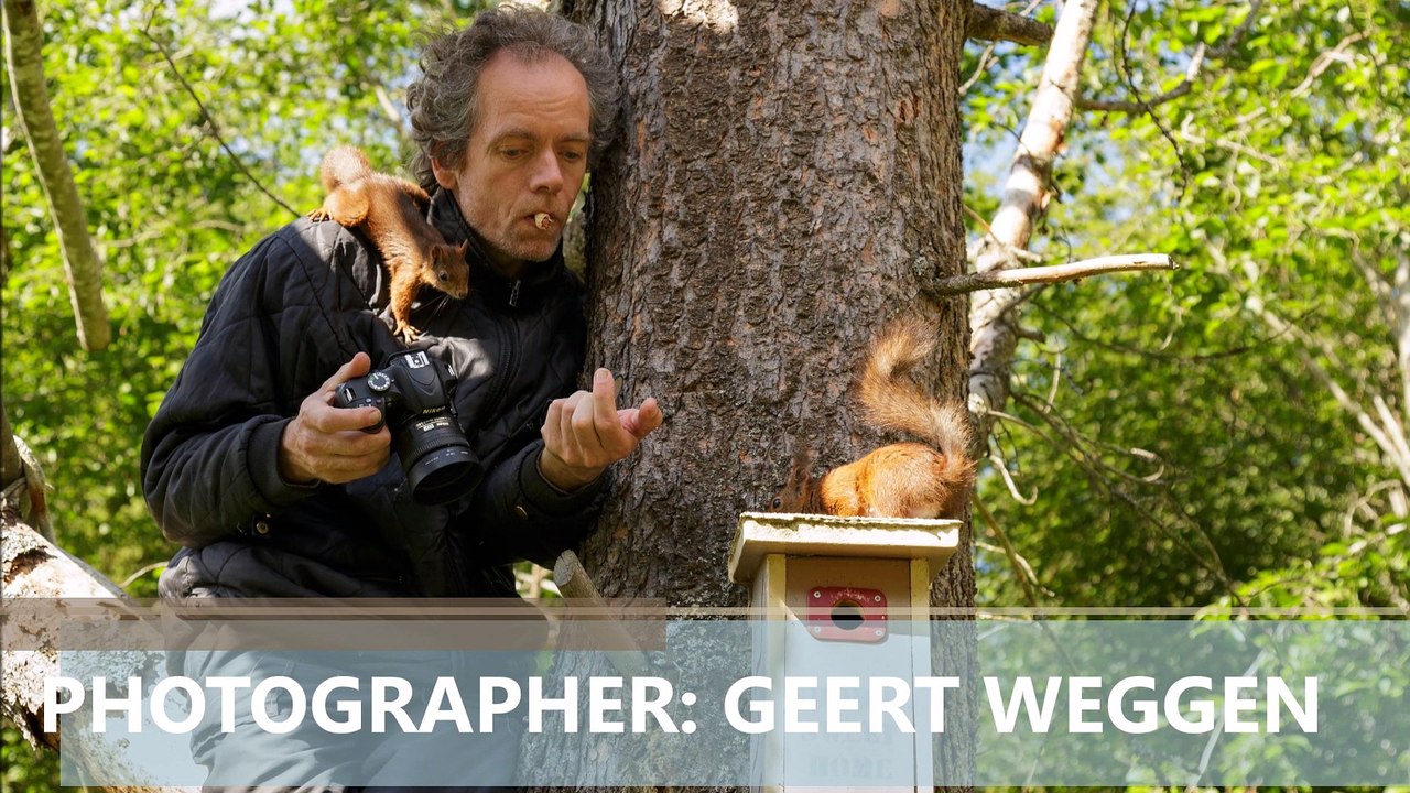Photographer in tree with squirrels