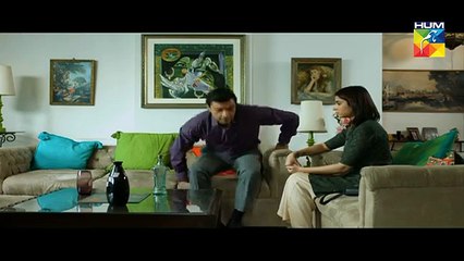 Woh Aik Pal Episode 19 HUM TV Drama - 15 July 2017