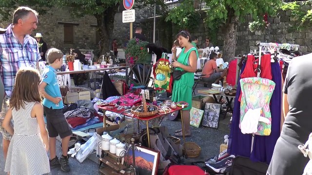 Hautes-Alpes : Plus de 70 exposants au vide-greniers de la SPA Sud Alpine à Chorges ce samedi