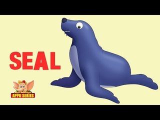 Animal Facts - Seal