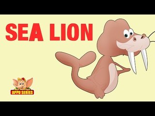 Animal Facts - Sea Lion