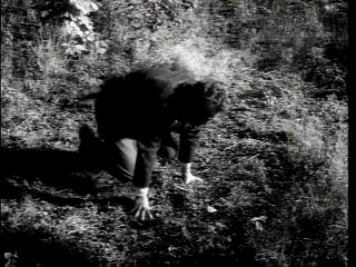 The Brain that Wouldn't Die