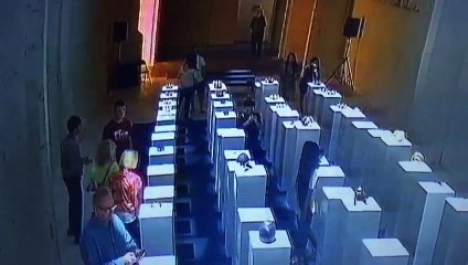 FAIL : 200 000 dollars de dégâts après avoir pris un selfie