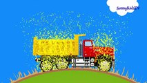 Y burbujas coches dibujos animados Niños compilación para frutas frutas frutas Aprender números camiones