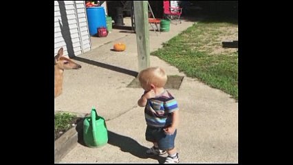 Baby Has Playdate With Baby Dee new video 2017