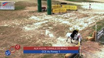 CCE As Poney 1