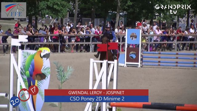 CSO Poney 2 D Minime 2