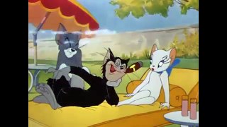 Tom and Jerry - Springtime for Thomas