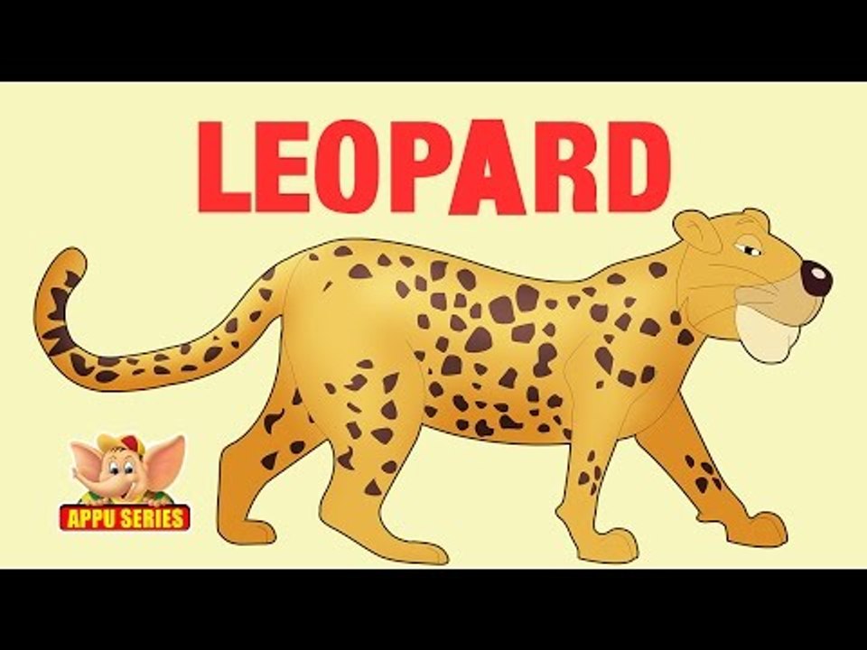 Animal Facts - Leopard
