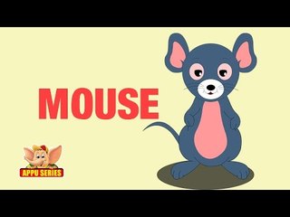 Animal Facts - Mouse