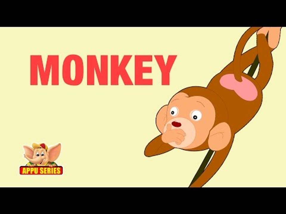 Animal Facts - Monkey