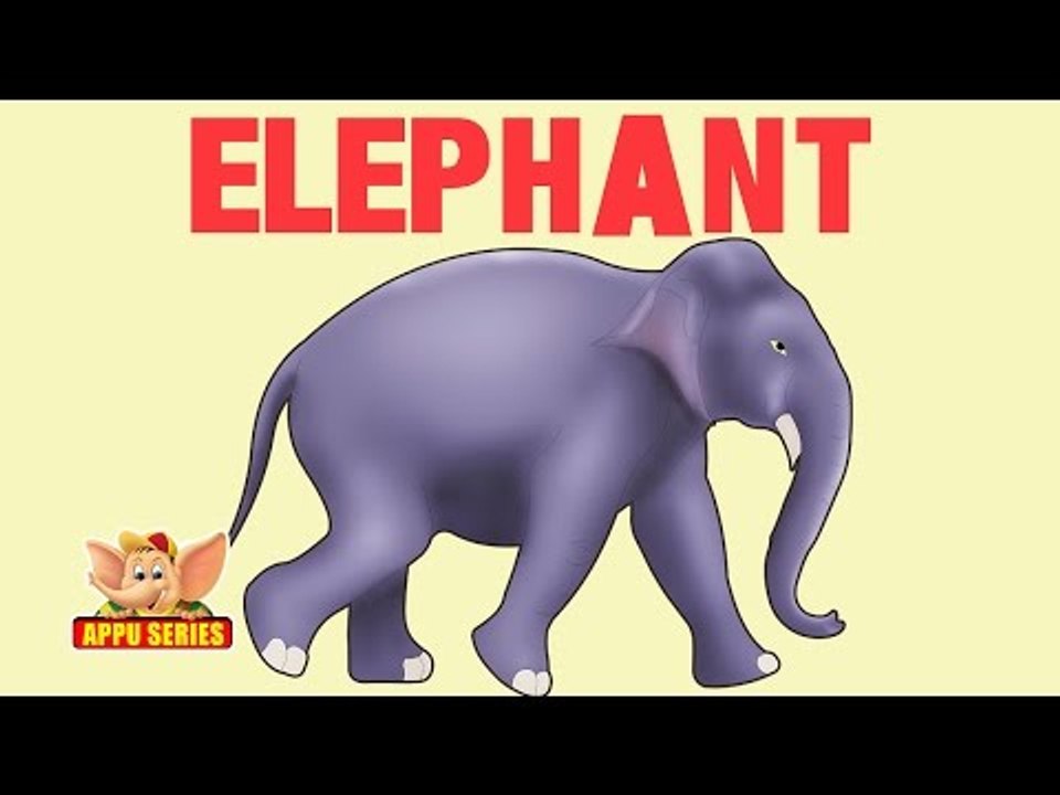 Animal Facts - Elephant - video Dailymotion