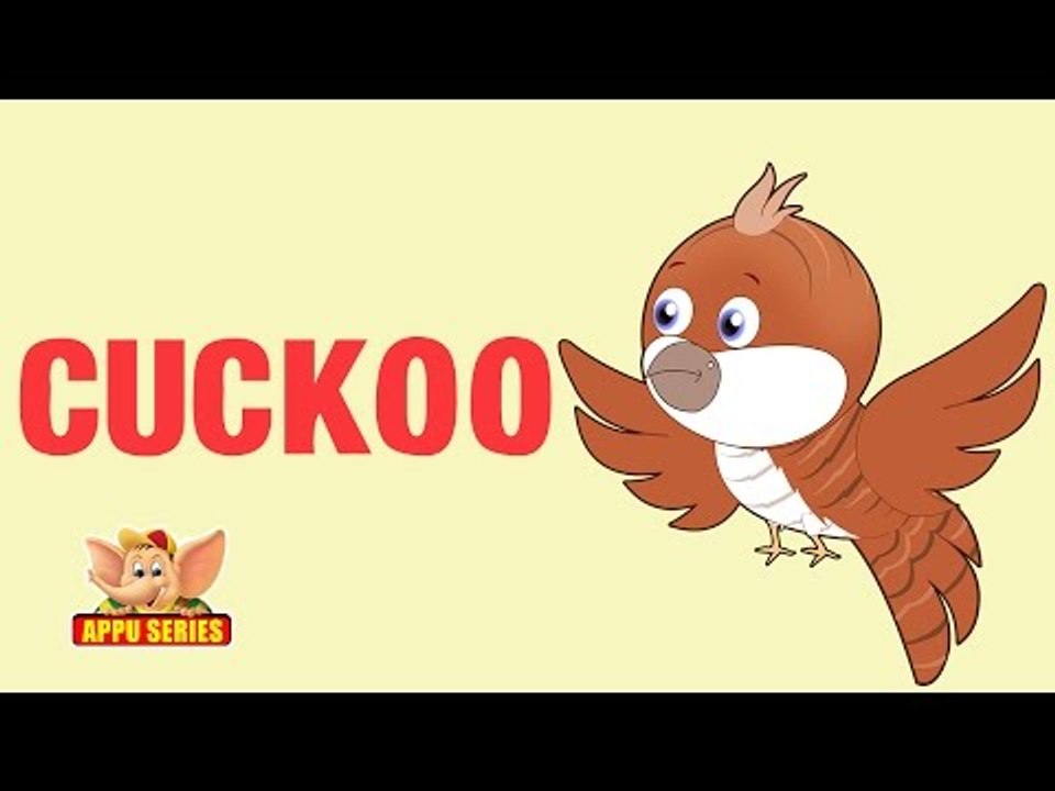 Animal Facts - Cuckoo