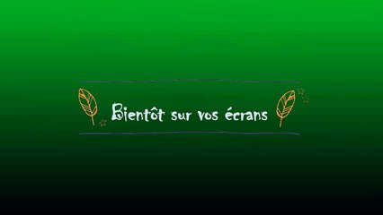 Bande-annonce du film sur la Finale D4