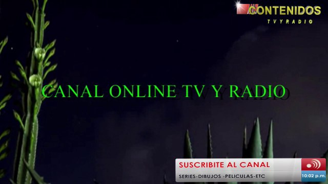 BRYTIAGO EN CONTENIDOS