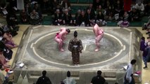Volver, homólogo es la mayor cantidad en la técnica estaba fascinado de retomado ... / atrás Kensho / sumo .2017.1.15 41 ura tsurugisho / sumo Day8