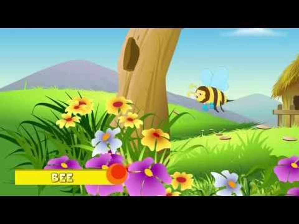 Animal Facts - Bee
