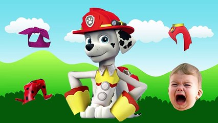 Wrong Shirt Paw Patrol, Masha Bear, Toy Story and Ladybug - Finger Family Song - Kids Color