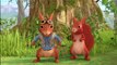 Peter Rabbit Cartoons 2017 - Peter Rabbit The Great Tortoise Rescue -  Rabbit Bunny Cartoons 2017