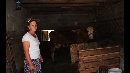 šokantan slučaj zoofilije