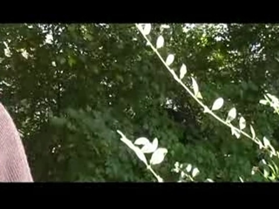 On est jamais mieux que chez soi