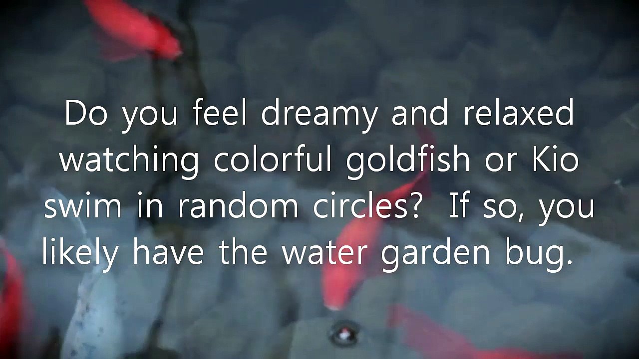Do You Have The Water Garden Bug?