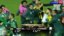 PELEA Peñarol vs Palmeiras 2 3 Copa Libertadores 2017 HD