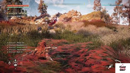 Horizon Zero Dawn - A Seeker At The Gates