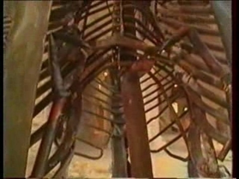 Rachid Khimoune à Chartres - Reportage FR3 Centre