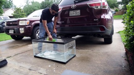 Whisper Challenge - DhoomBros (Shehryvlogs # 2)