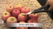 How to Make Candy Apples Two Ways (Traditional Candy Apples and Jolly Rancher Candy Apples