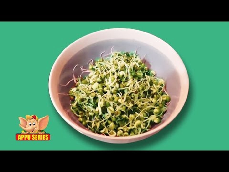 Easy Cooking - Learn to Make Sprouts