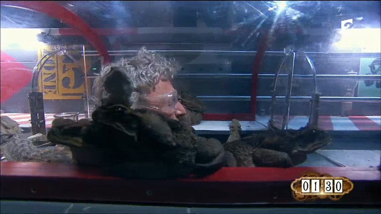 Terrifié, Nelson Monfort abandonne une épreuve dans "Fort Boyard" - Regardez