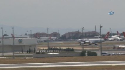 Kule 'Martıya Çarpmış Olabilirim'