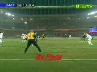 pauleta : Aile de pigeon