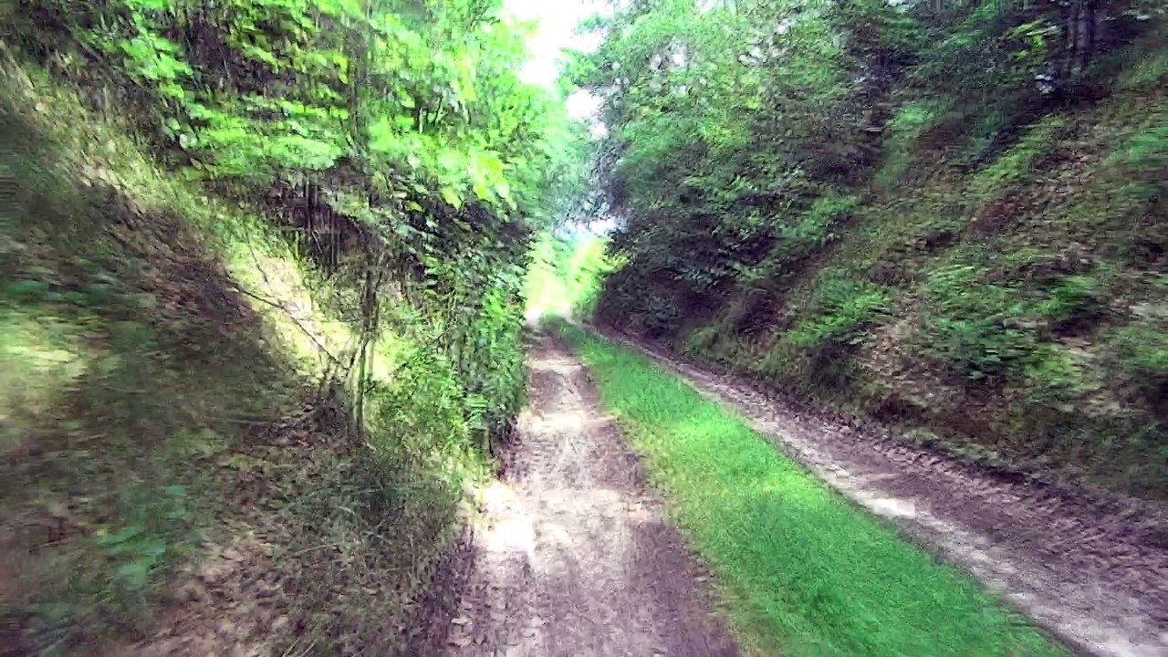 Bryłówka 22 06 2017