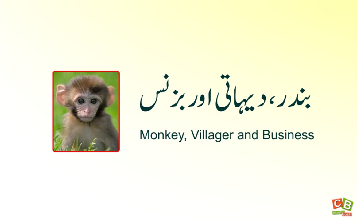 Monkey, Villager and Stock market