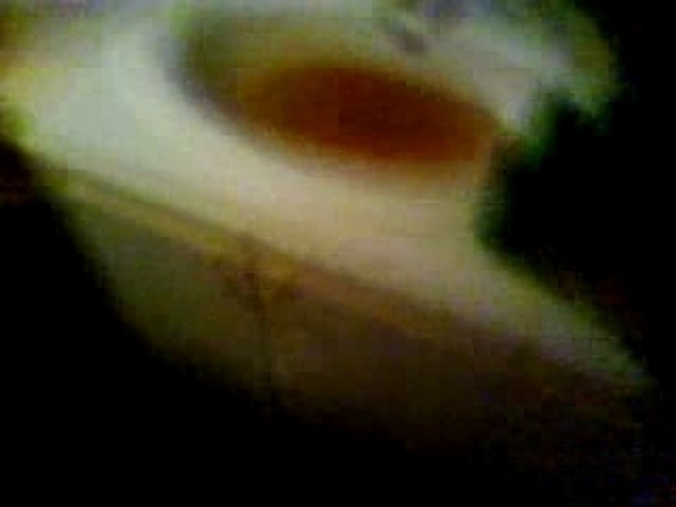 Soiré salle de bain 8