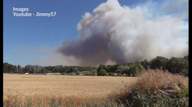 Les images impressionnantes de l'incendie qui a brûlé 750 hectares à Saint-Cannat dans les Bouches-du-Rhône