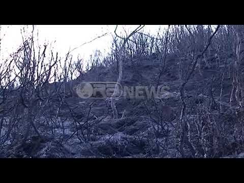 Ora News - Në të gjithë vendin janë 13 vatra zjarri